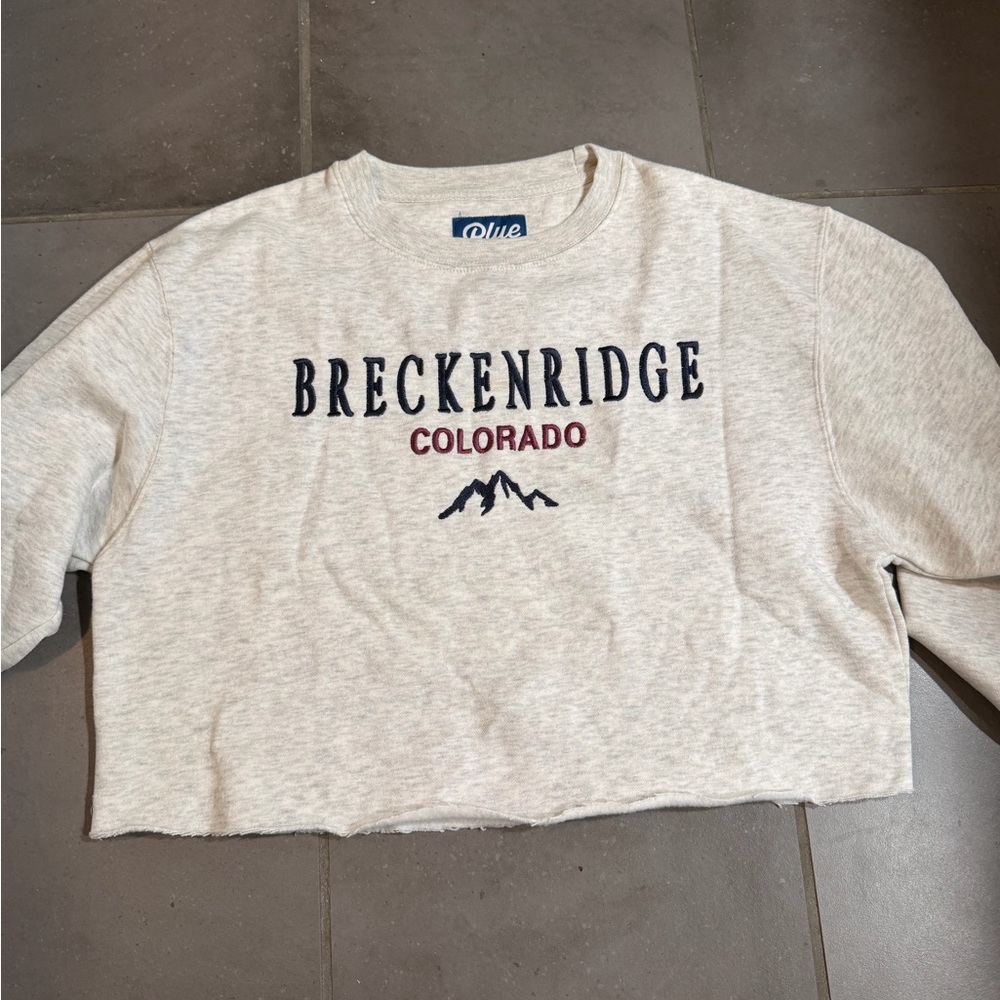Light Grey Breckenridge Colorado Crop Embroidered Sweatshirt